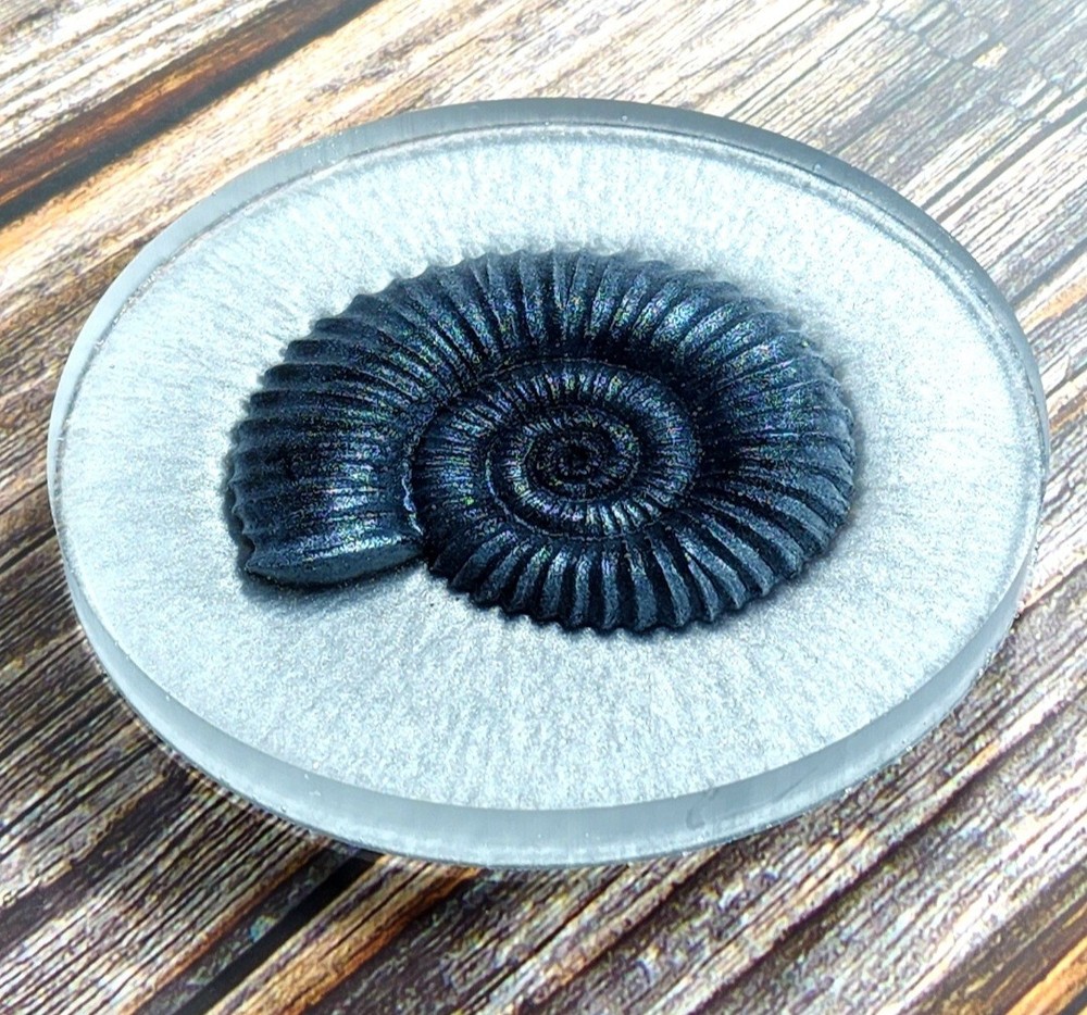 TWO SETS OCEAN Silicone Inlays AU