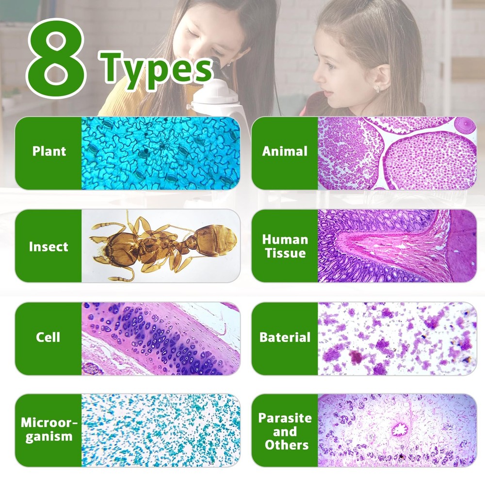 60 Microscope Slides with Specimens,Prepared Microscope Slides for Kids,Glass...