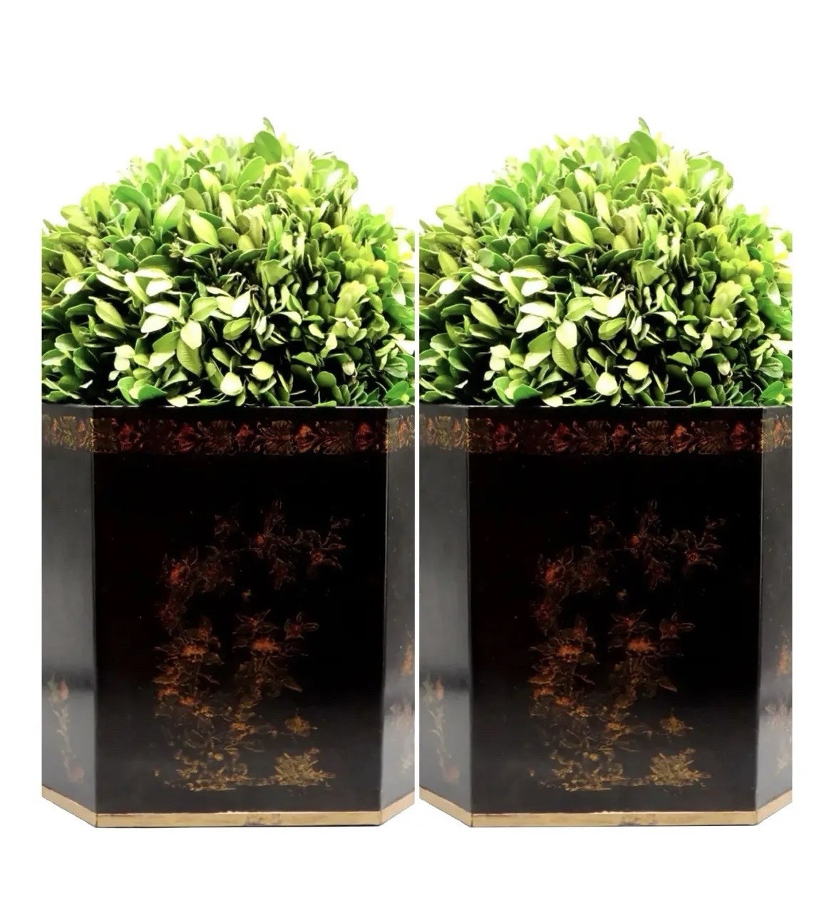 Italian Regency Style Toleware Jardinieres Preserved Boxwood Pair Gumps