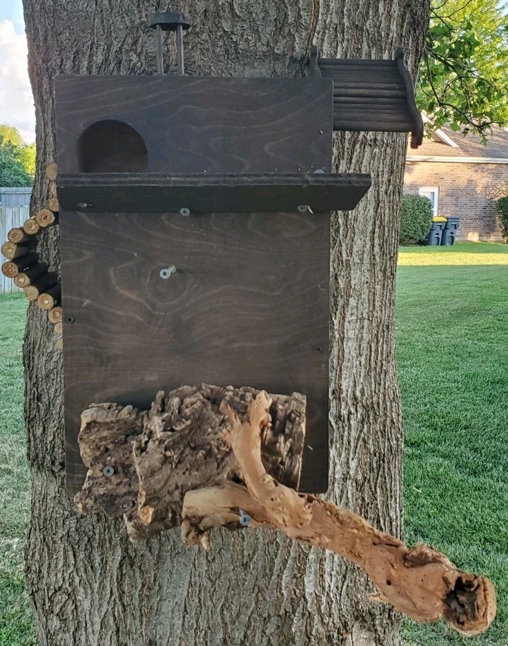 Custome Made Bird Houses