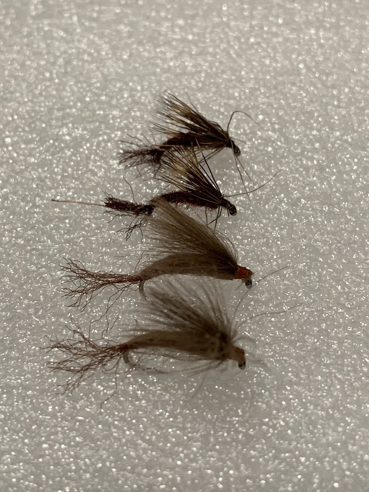 Assorted Freshwater Flies For Trout