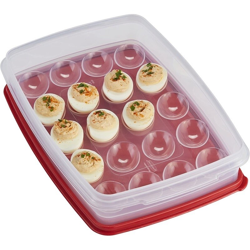 Egg Keeper Container 20 Eggs Deviled Egg Storage Transport Picnic Safe New