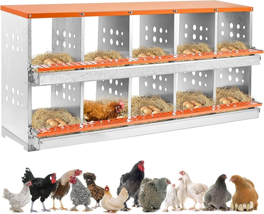 Chicken Nesting Box 10 Holes Metal Poultry Brooding Box Automatic Egg Rollout