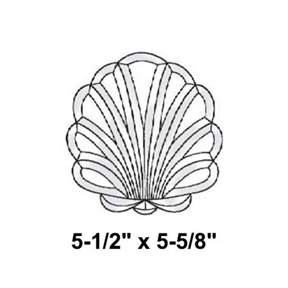 Exquisite Cluster Small Shell #EC811