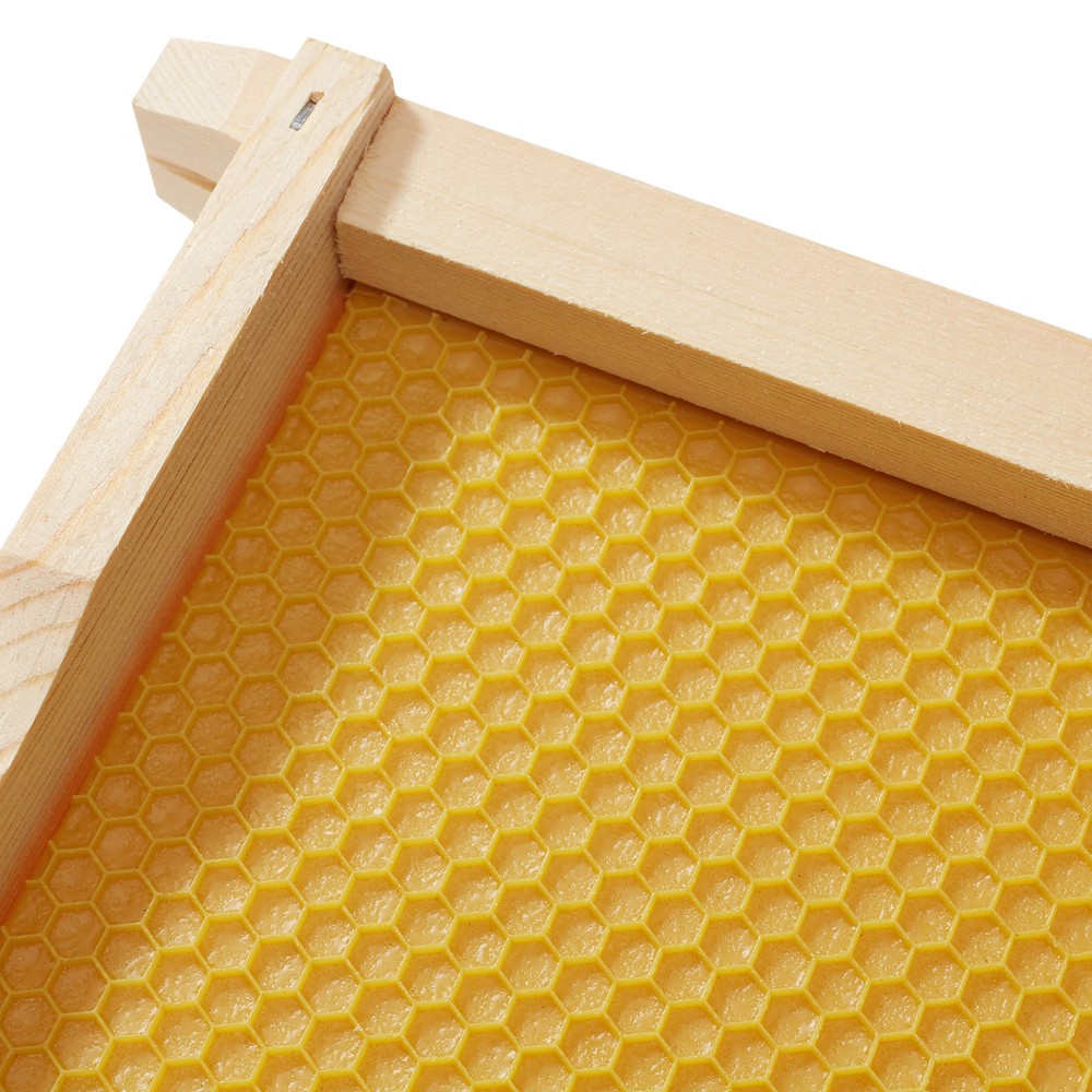 Complete Deep Hive Body Kit, Painted and Assembled Beehive with 10-Frames, White