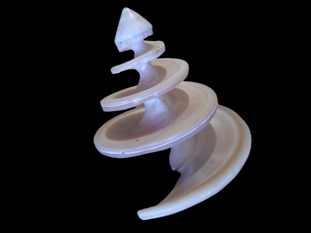 VINTAGE NATURAL SPIRAL SHELL – POLISHED CUT DISPLAY