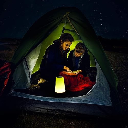 Night Light, Dimmable Touch Lamp for Bedroom, Portable Table Bedside Brown