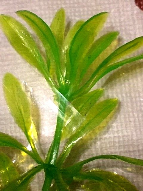 5 x LARGE MIXED *ALL GREEN* PLASTIC PLANT LOT 8"- 11" AQUARIUM FISH DECORATION.