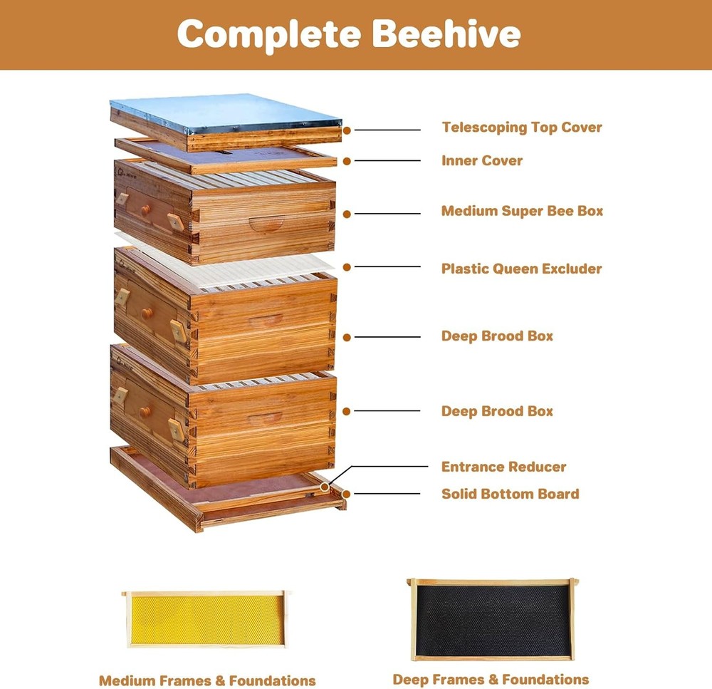 10 Frame Beehive Set with Beeswax Coating: Includes 2 Deep & 1 Medium Boxes