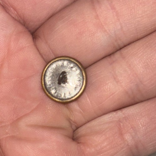 Antique Military Eagle Button 47