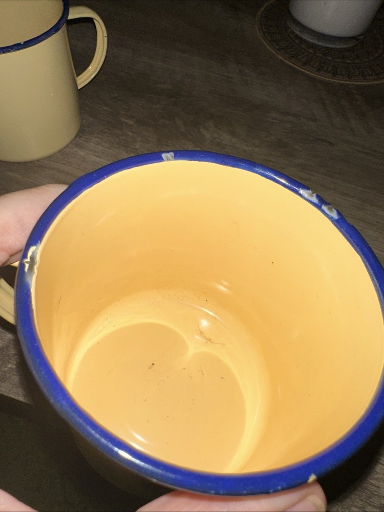 Pottery Barn Enamel Ware Camping Cups