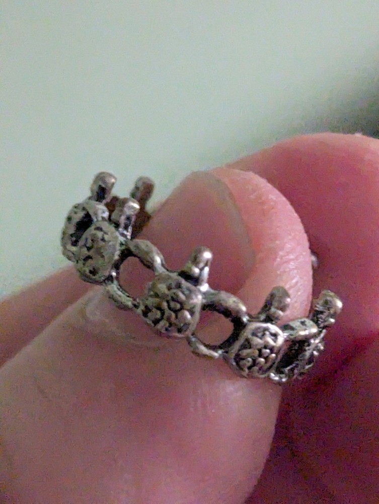 A ring Of Eight Turtles