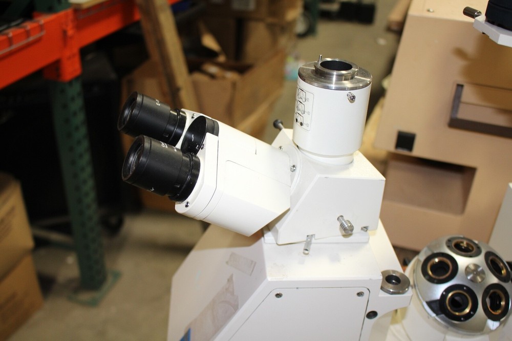 Zeiss Axiovert 10 Inverted Microscope