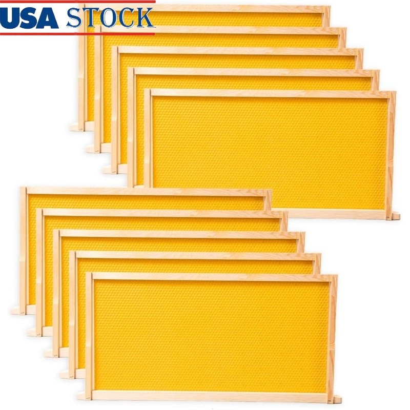 10 Pack Deep Hive Frames Wax Foundations Langstroth Beehive Easy Assembly New