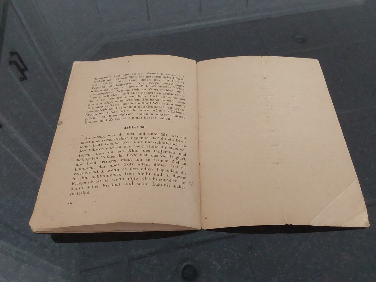 WWII 1943 Dr. Goebbels 30 War Articles for the German Folk Third Reich Booklet