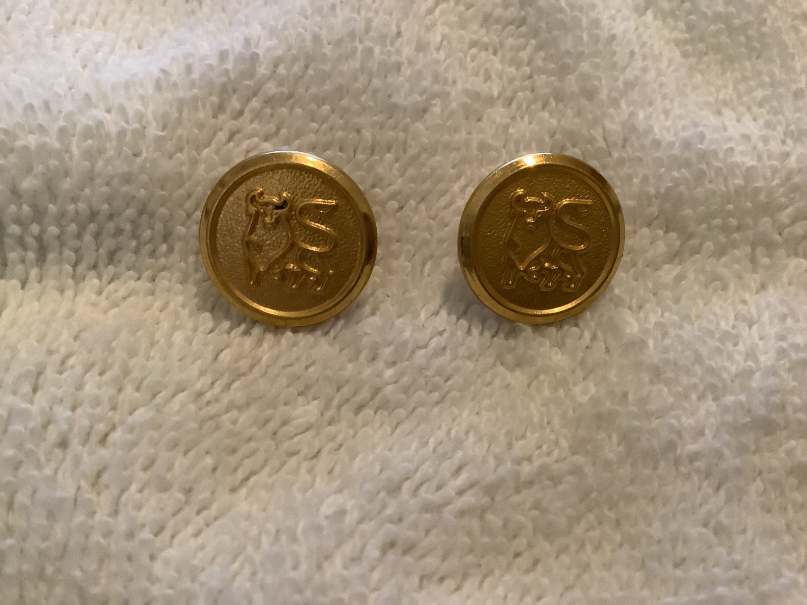 Lot of 10 Vintage Merrill Lynch Bull Logo Jacket Buttons Waterbury Co.