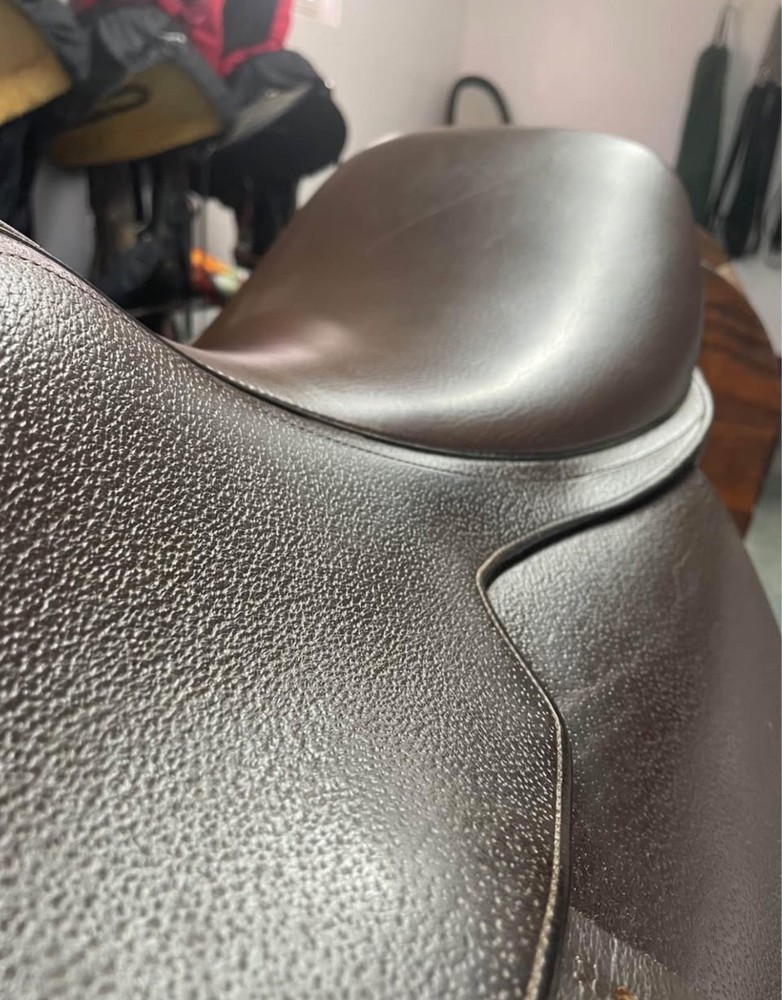 saddleseat saddle