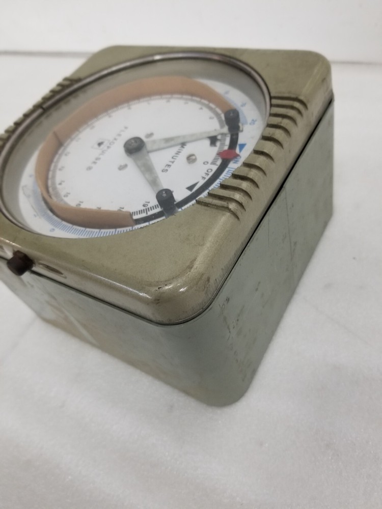 Eagle Signal HG94A603 Flexopulse 20 min. Timer 120V 10A
