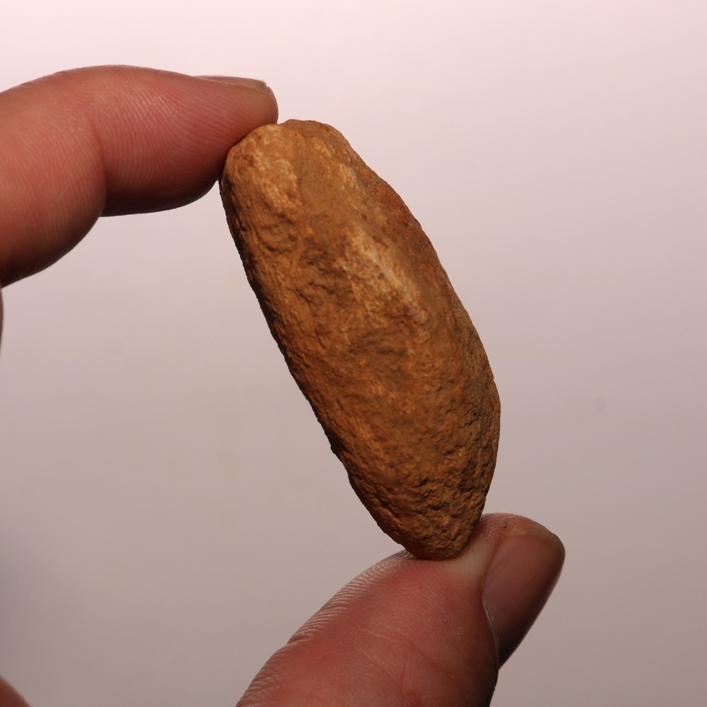 Dinosaur Scute Node - Hell Creek Formation - Nice - CRETACEOUS
