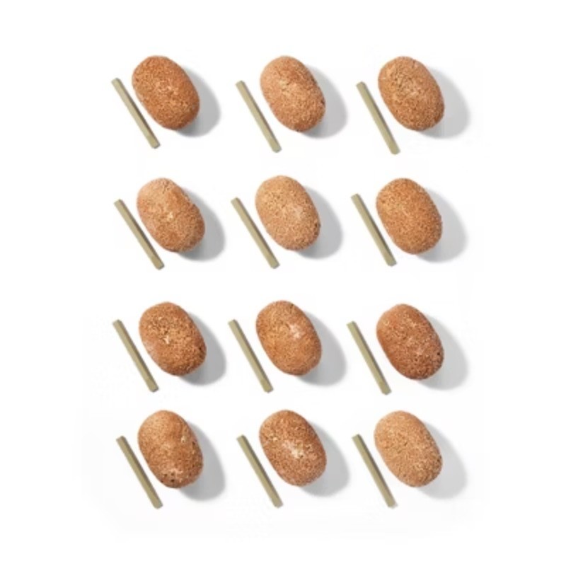 Dig It Up: Dinosaur Eggs