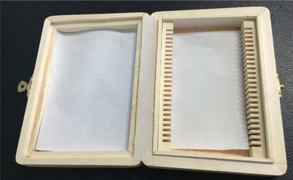 Microscope Slide Storage Wooden Box Specimen Holding Storage Case with Lock