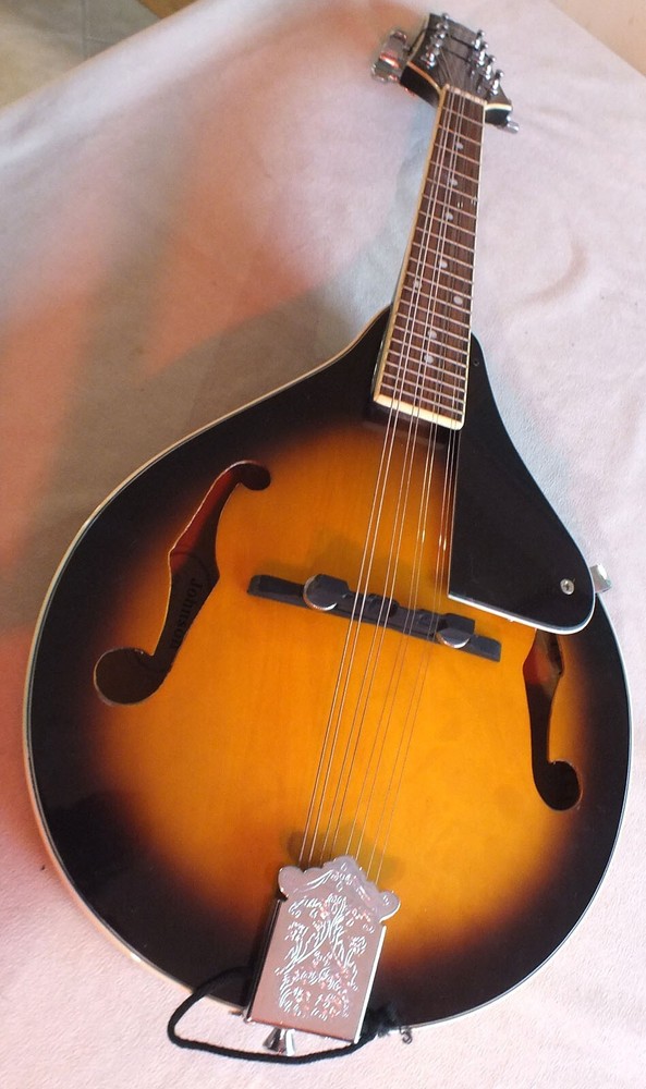 Nice Johnson Oval Hole Mandolin Model MA-100