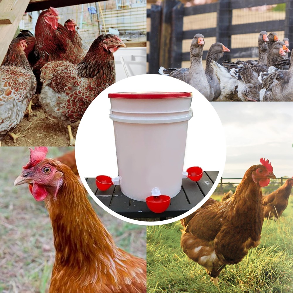 8 Pack Large Automatic Chicken Waterer Cups Poultry Feeder Cups for Chicken Duck