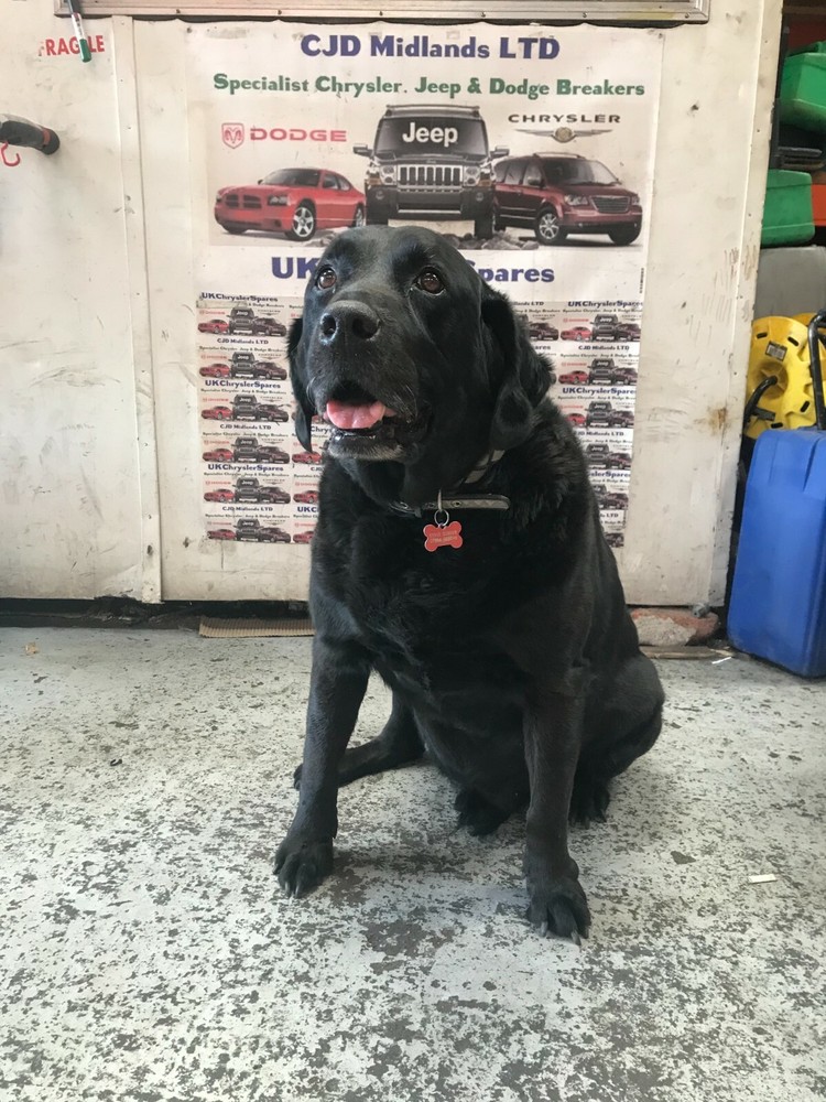 MG MG3 Warning Triangle 2013-2018