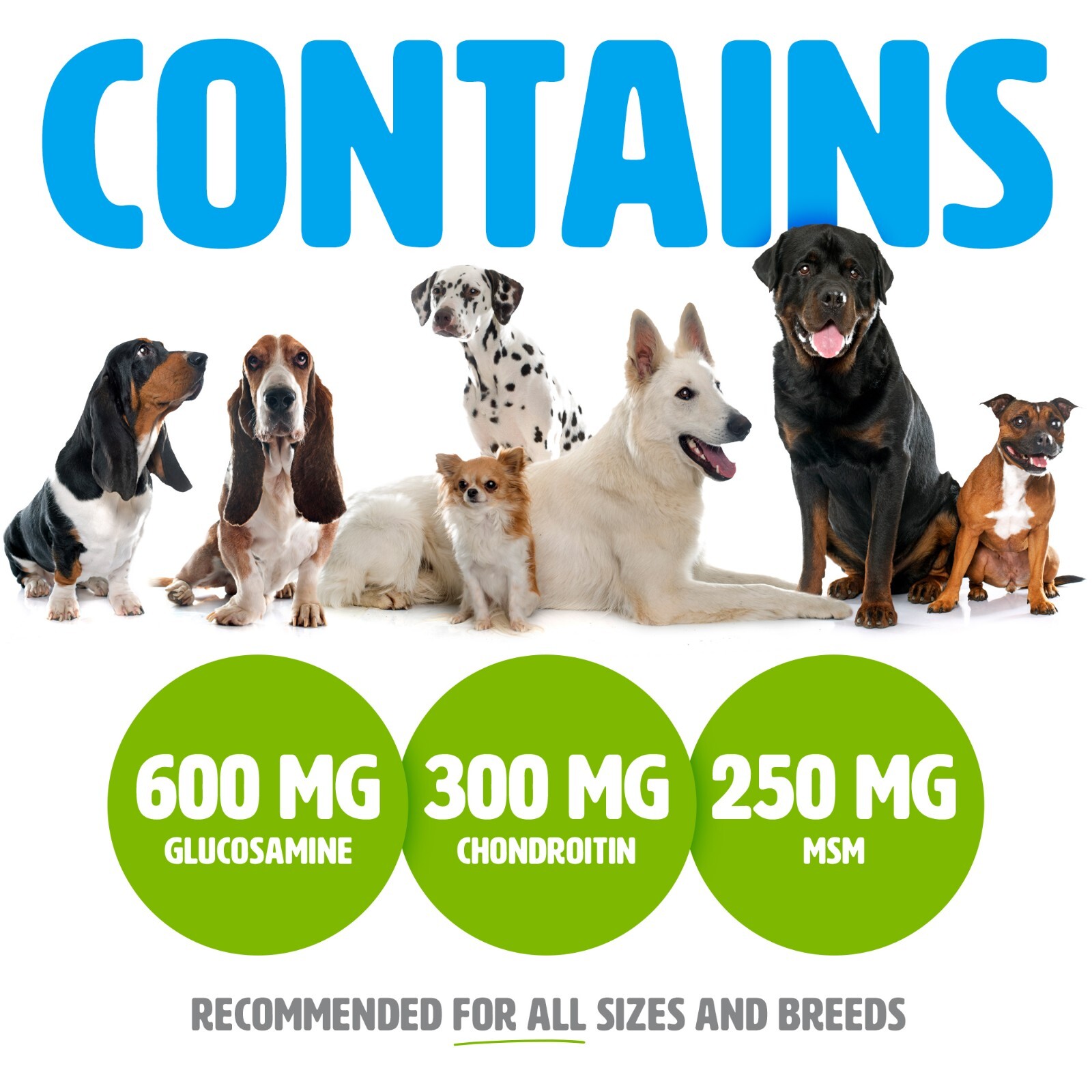 Glucosamine Chondroitin with MSM for Dogs , Hip and Joint Support