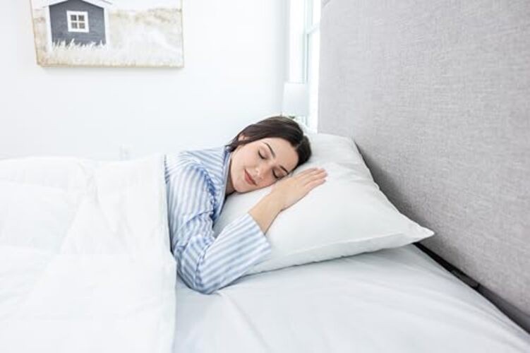 Feather/Down-Proof00% Cotton, Pillow Protector - Reduce Pokes with King 1