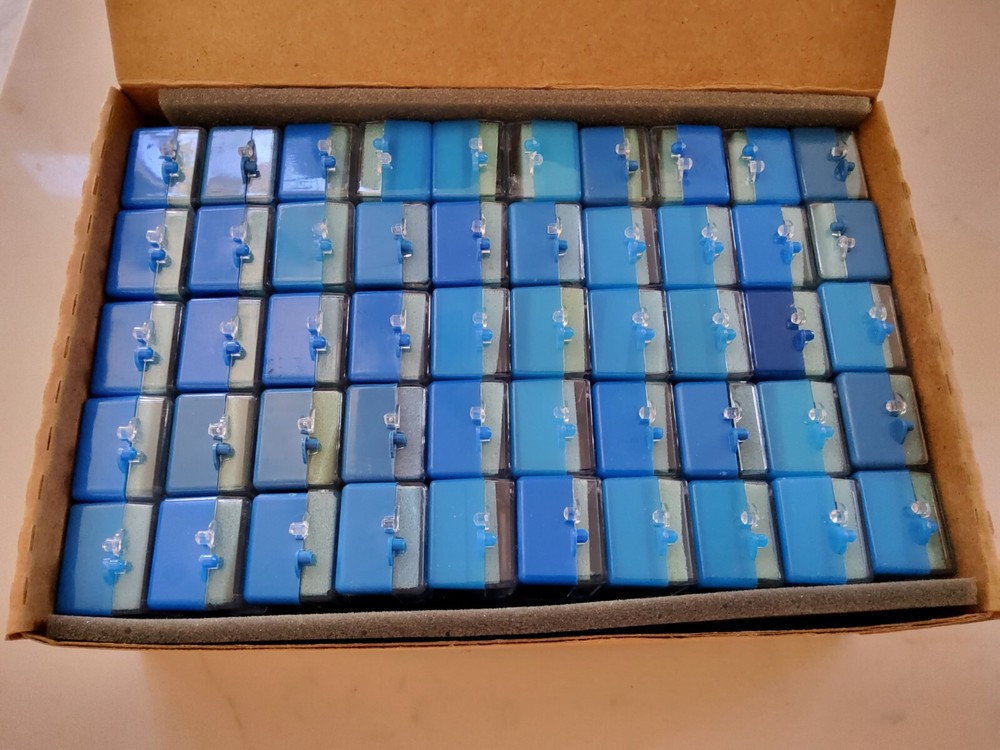 Dental Lab Packaging Plastic Box with Foam 100pc (blue)