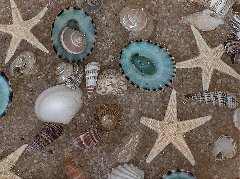 Handmade resin sand and shell trinket dish