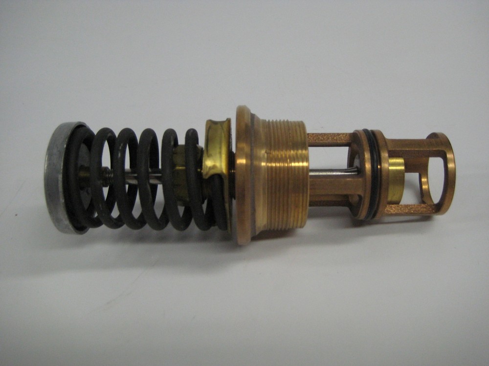 CONTROL JOHNSON V-3974-613 3/4" INNER VALVE&SPRING ASSEMBLY NSMP