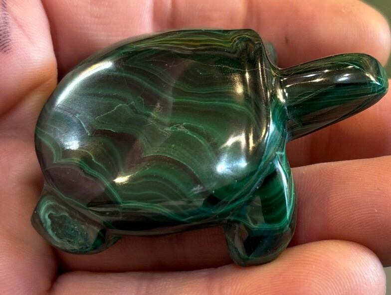 2” Malachite Turtle