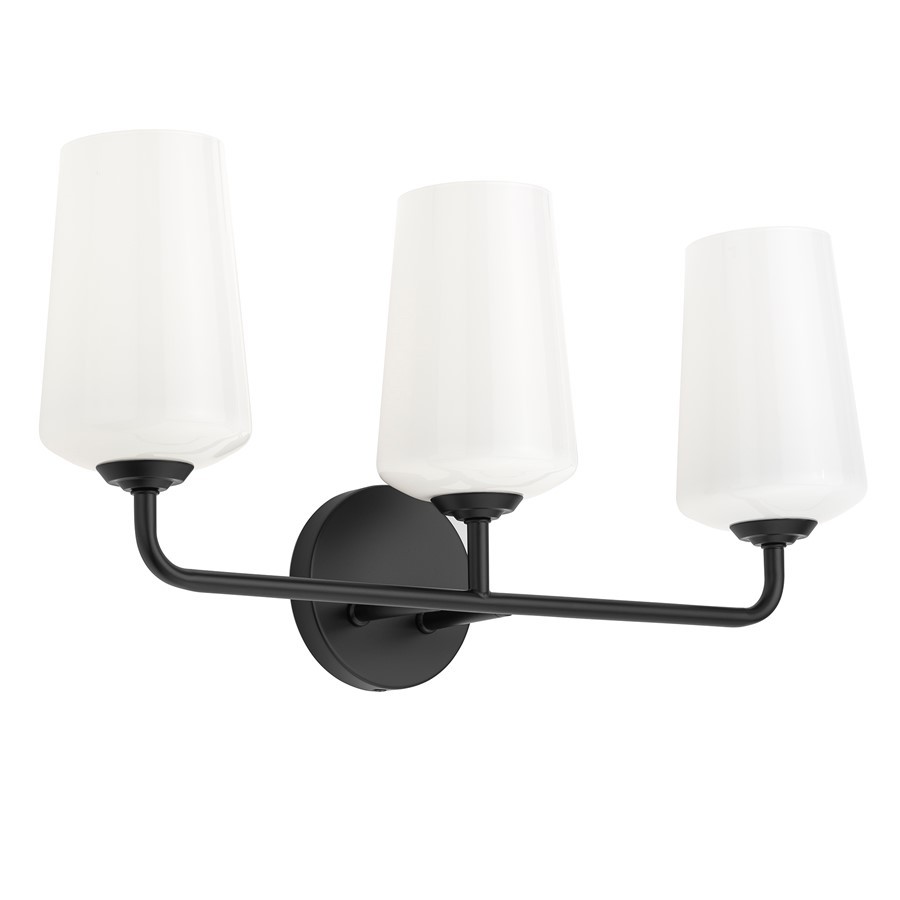 Progress Lighting Celino 3-Lt Bath/Vanity, Black/White - P300544-031
