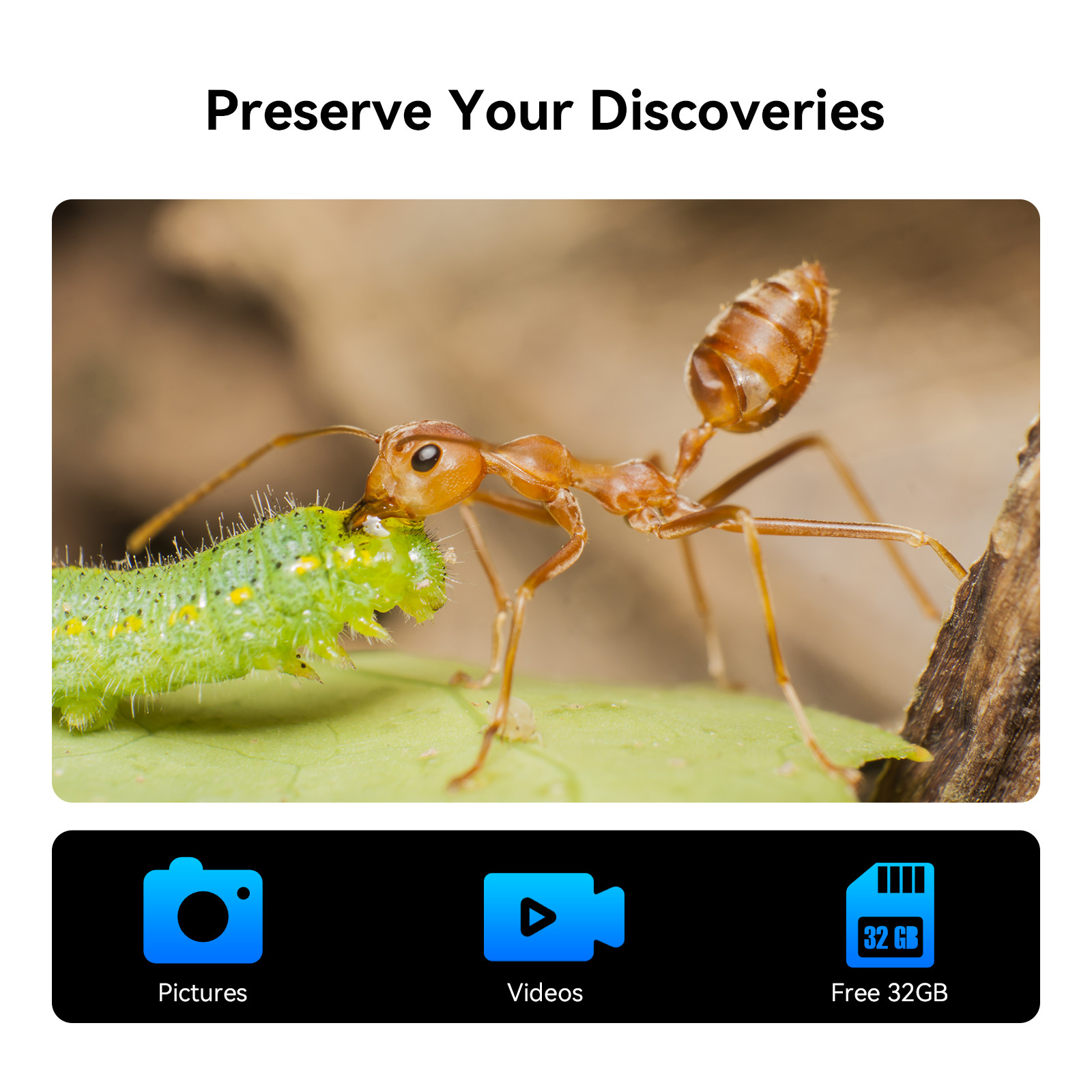 TOMLOV Digital Microscope Coin magnifier Camera 4.3" HD 720P 1000X Magnification