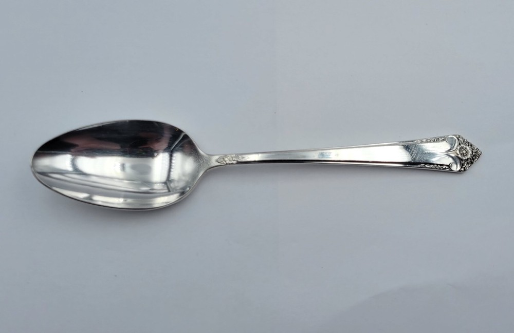 Oval Place Soup Spoon ~ Starlight by Rogers & Bro Silverplate Flatware 7 3/8"