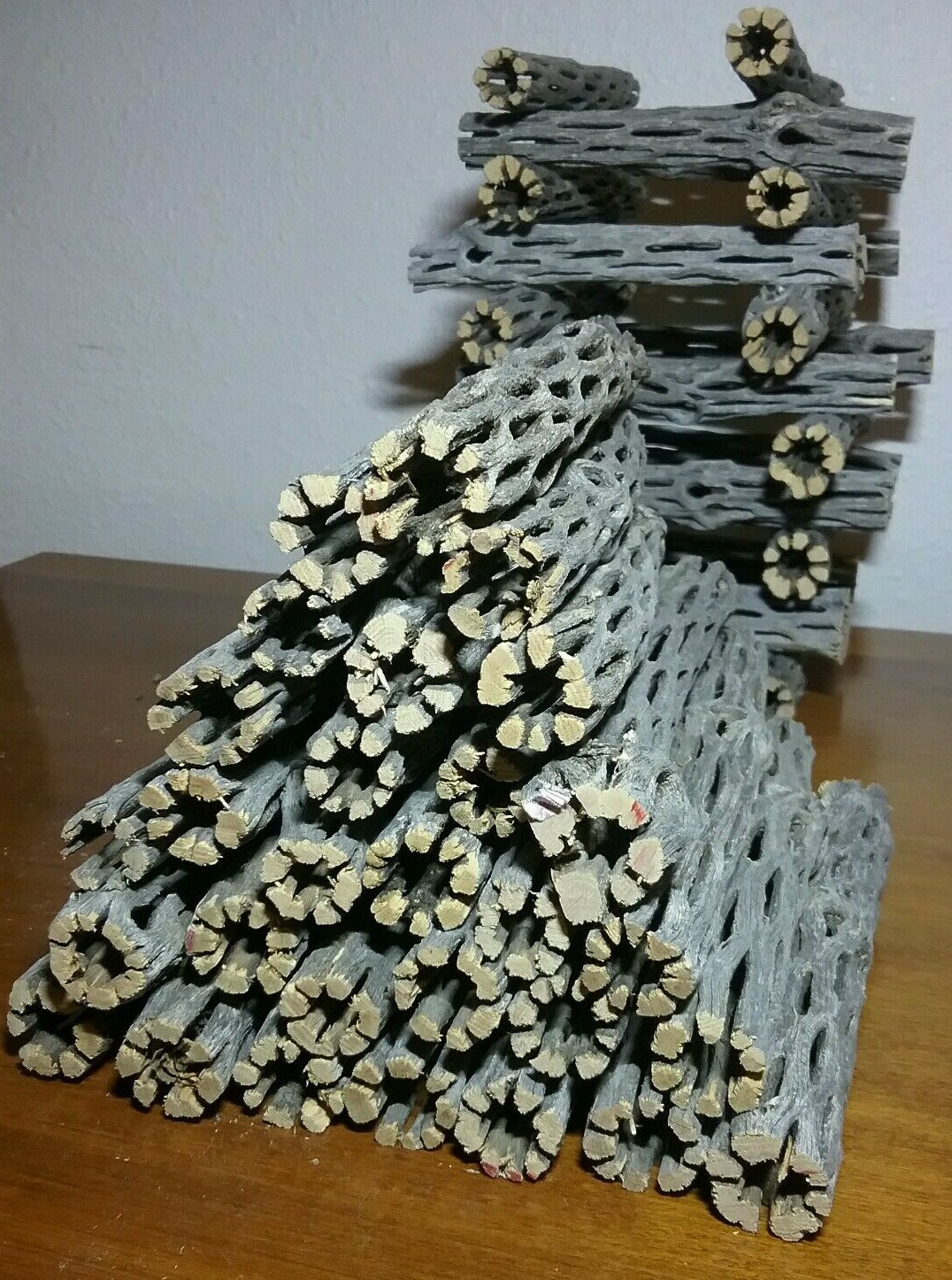 20 pcs 6" inch CHOLLA Wood Cactus | ORGANIC, Untreated | Shrimp Aquarium CRAFTS!
