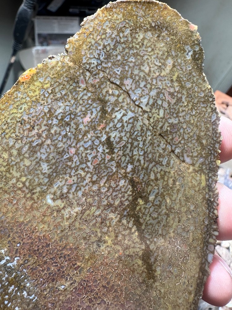 Dinosaur bone rough **hxtled slab.