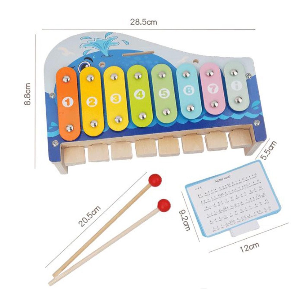 8 Note Xylophone Percussion Instrument Coordination Motor Skill Educational with