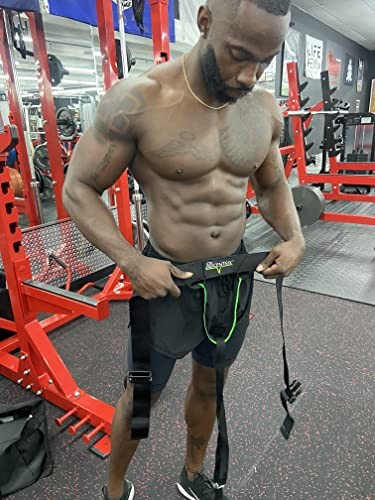 TE Harness | Isolates The Core for Beginners and Experts | Best Abdominal Work