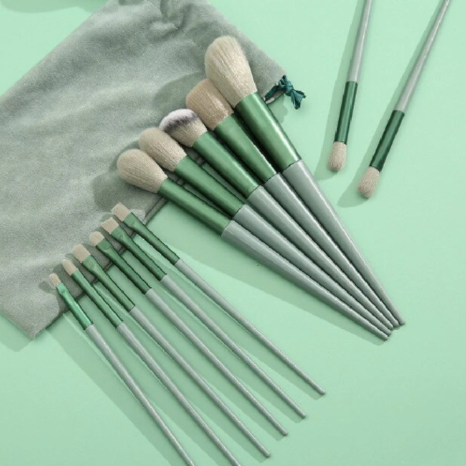 makeup brushes set