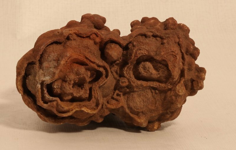 Moroccan stromatolite fossil