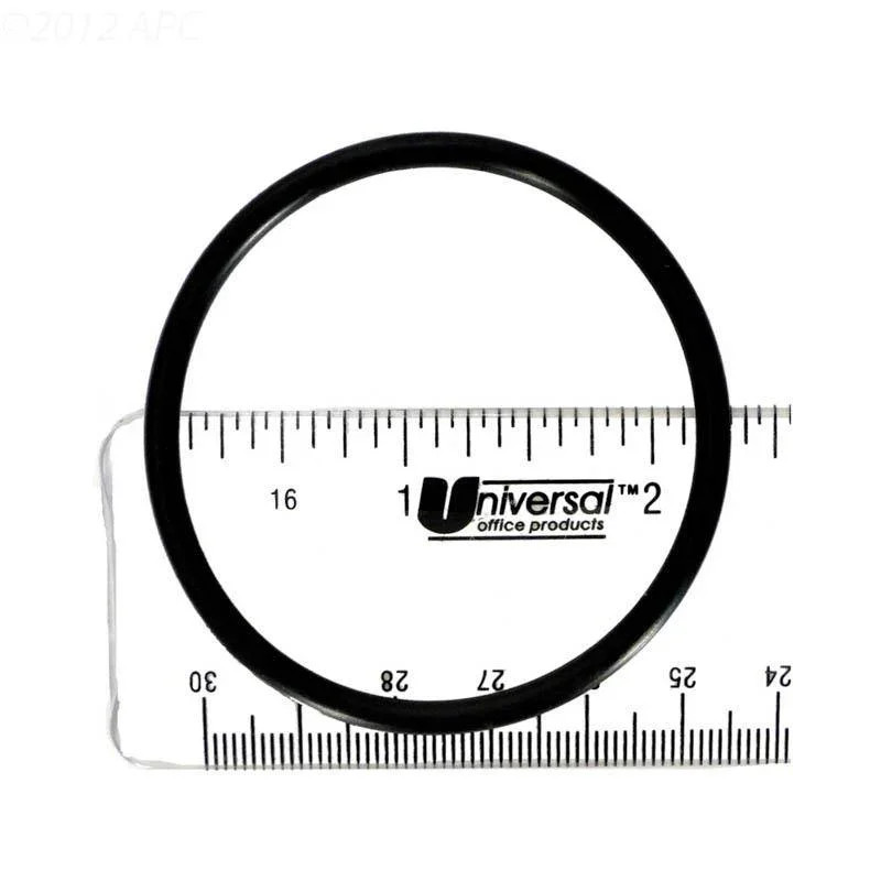 Gasket, Bulkhead Adaptor