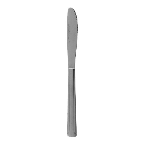Update International Update DH48 Dominion Dinner Knife
