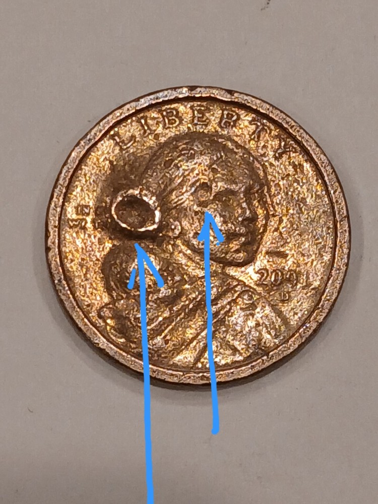 2001d Sacagawea One Dollar Coin Error