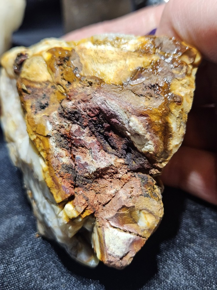 Fully Opalized Petrified Wood Specimen NATURAL FORM (9.9oz)