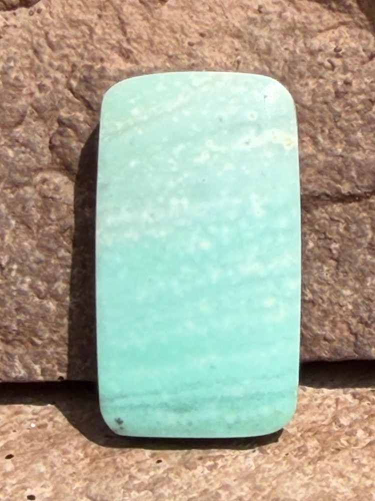 Blue Petrified Opalized Wood Cabochon