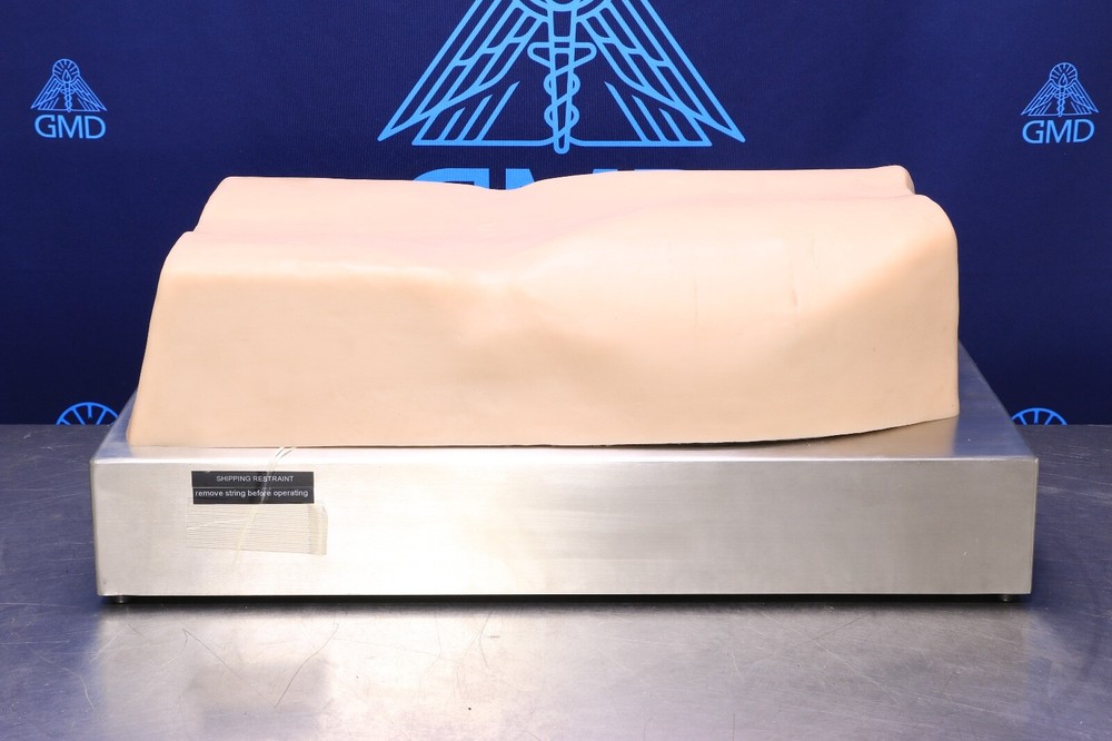 ACDET AbSim Model PT Abdominal Palpation Training Simulator