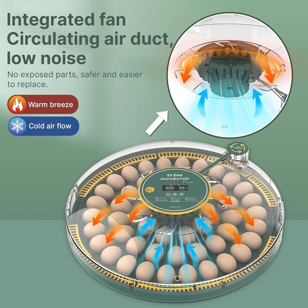 HBN 52 Egg Incubator with Automatic Egg Turning & Temperature Humidity Control